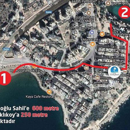 سيليفكى فندق بالم بيتش المظهر الخارجي الصورة